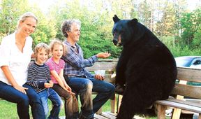 Medvědí rodina a já